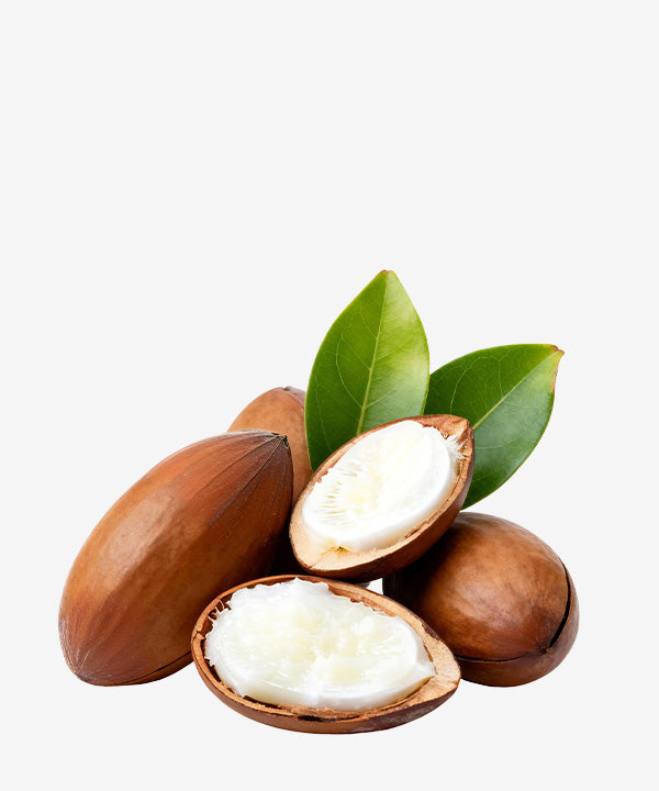 Babassu Seed Oil