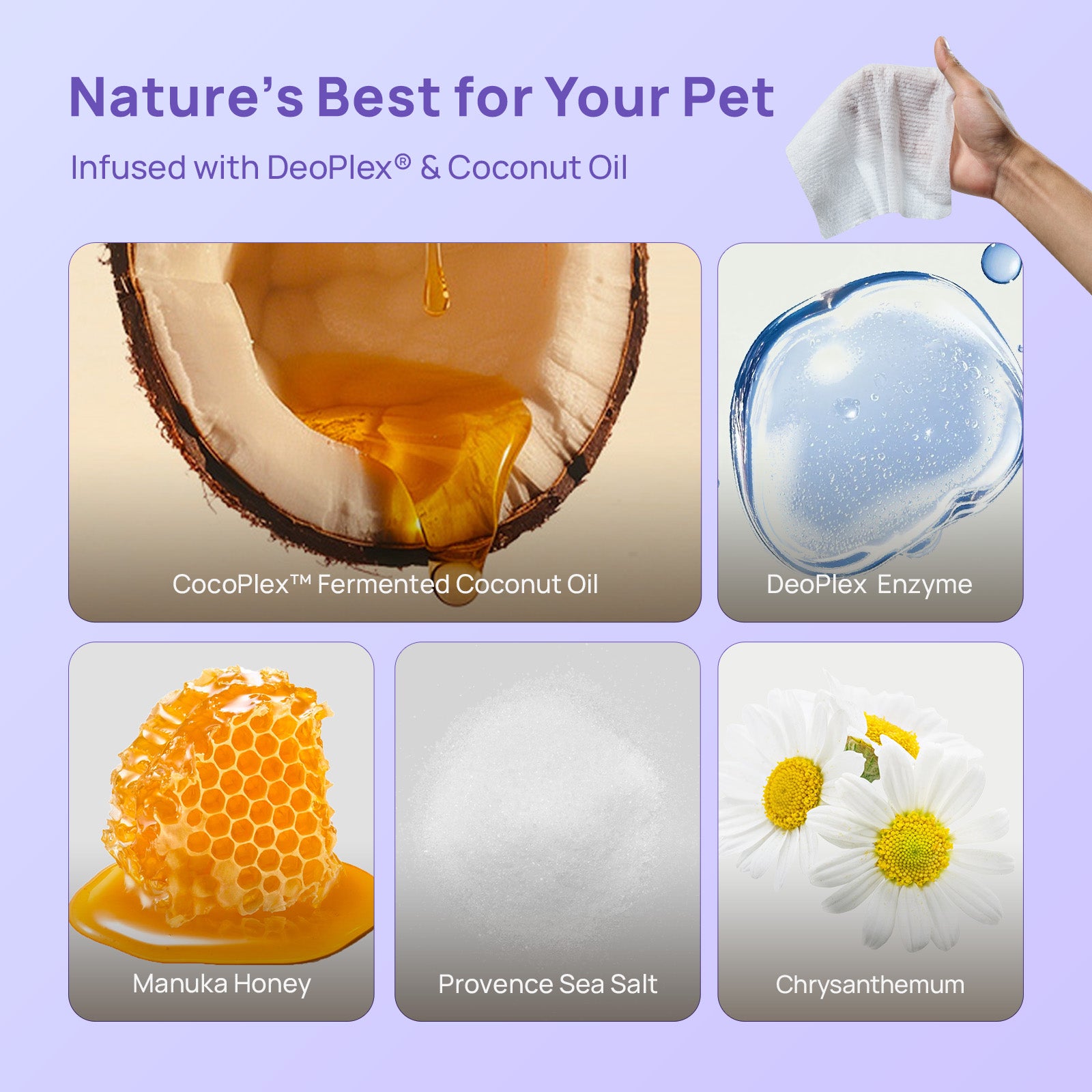 All-Purpose Pet Grooming Wipes (Sensitive Area Safe)