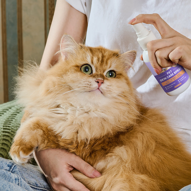Skin Care Relief Spray