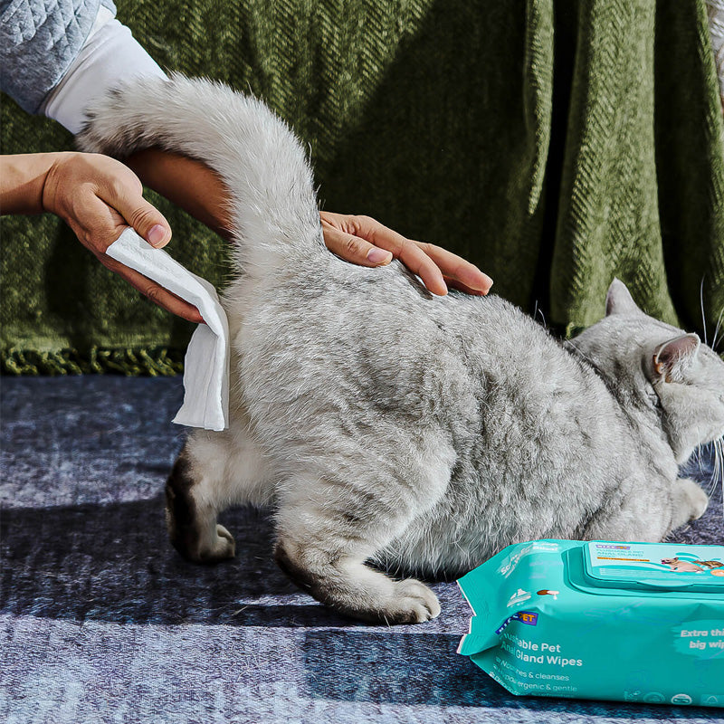 Flushable Wipes