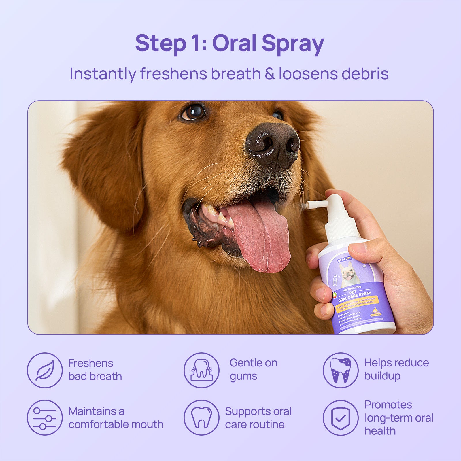 No-Brush Daily Oral Care & Breath Freshening Kit for Dogs & Cats