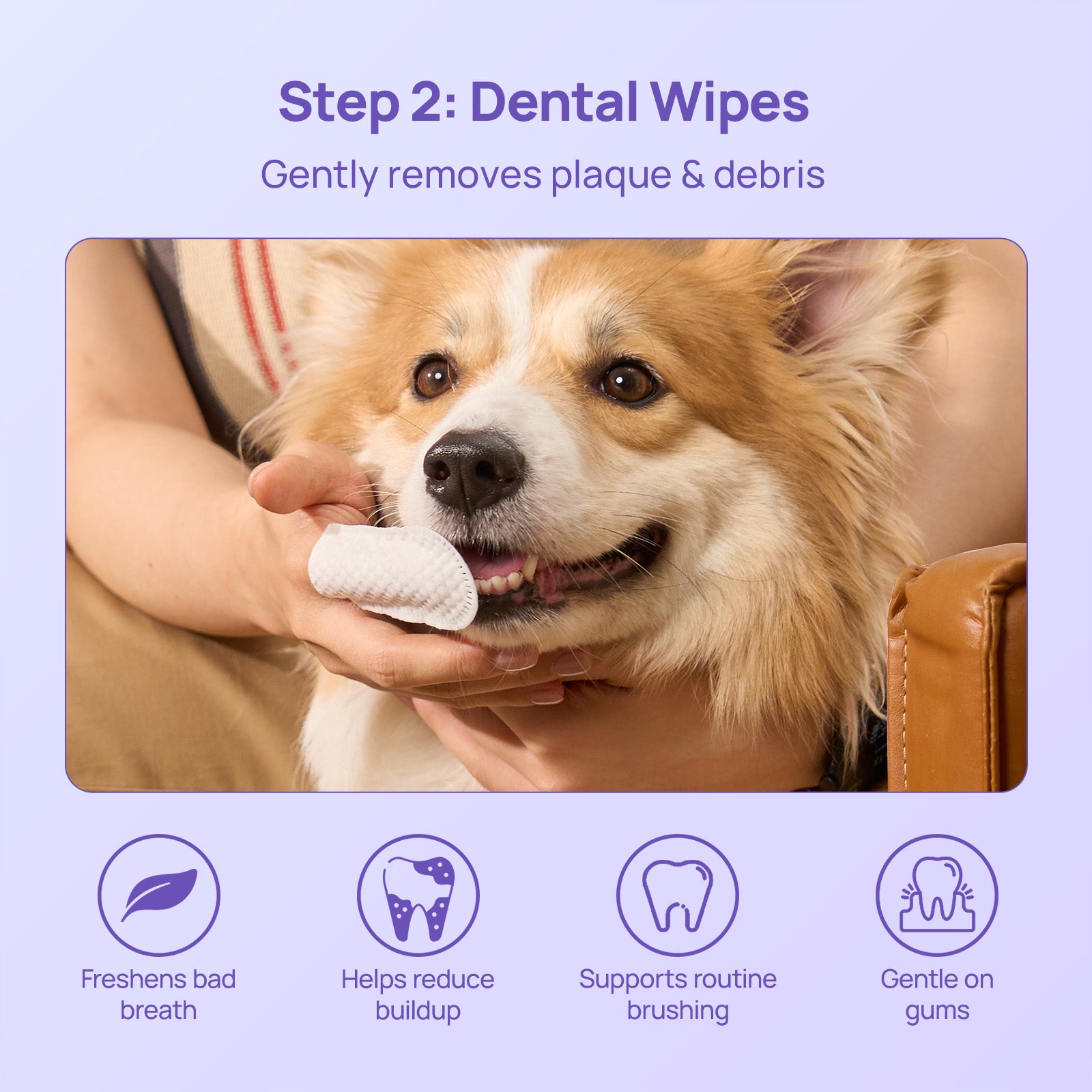 No-Brush Daily Oral Care & Breath Freshening Kit for Dogs & Cats