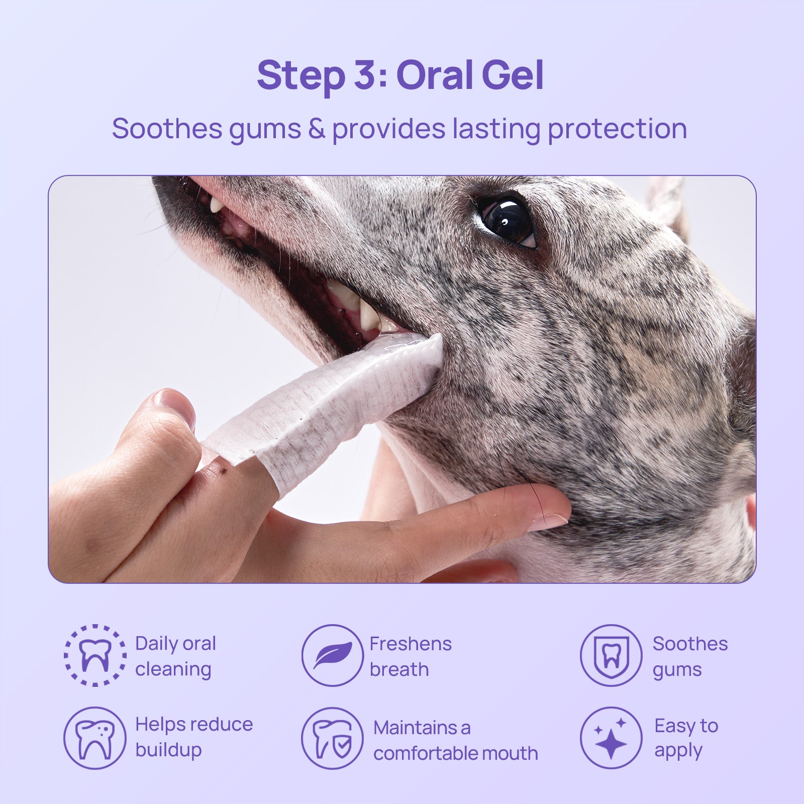 No-Brush Daily Oral Care & Breath Freshening Kit for Dogs & Cats