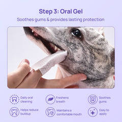 No-Brush Daily Oral Care & Breath Freshening Kit for Dogs & Cats