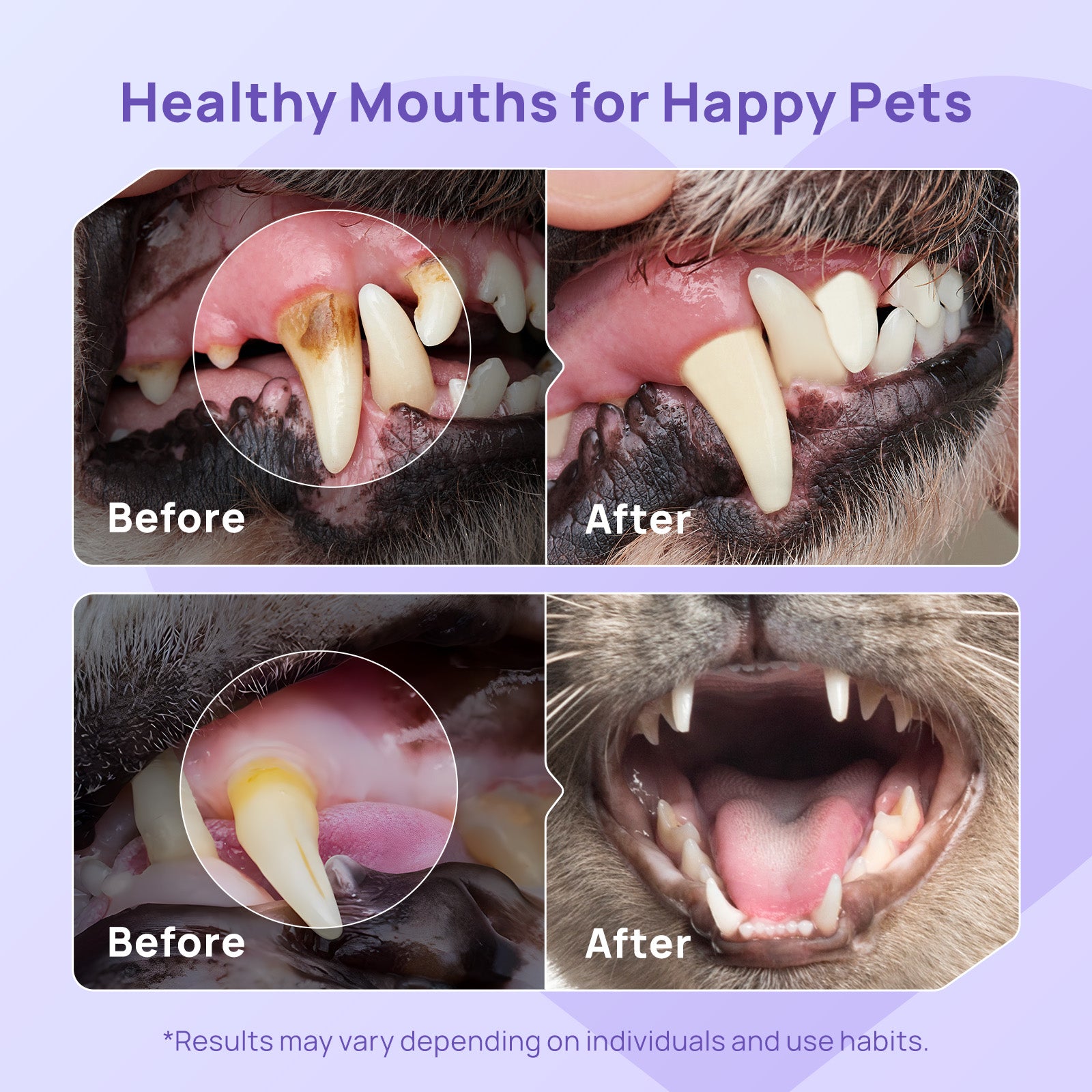 No-Brush Daily Oral Care & Breath Freshening Kit for Dogs & Cats