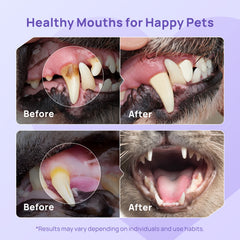 No-Brush Daily Oral Care & Breath Freshening Kit for Dogs & Cats
