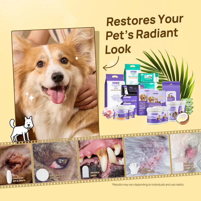 HICC PET® PetPure Essentials