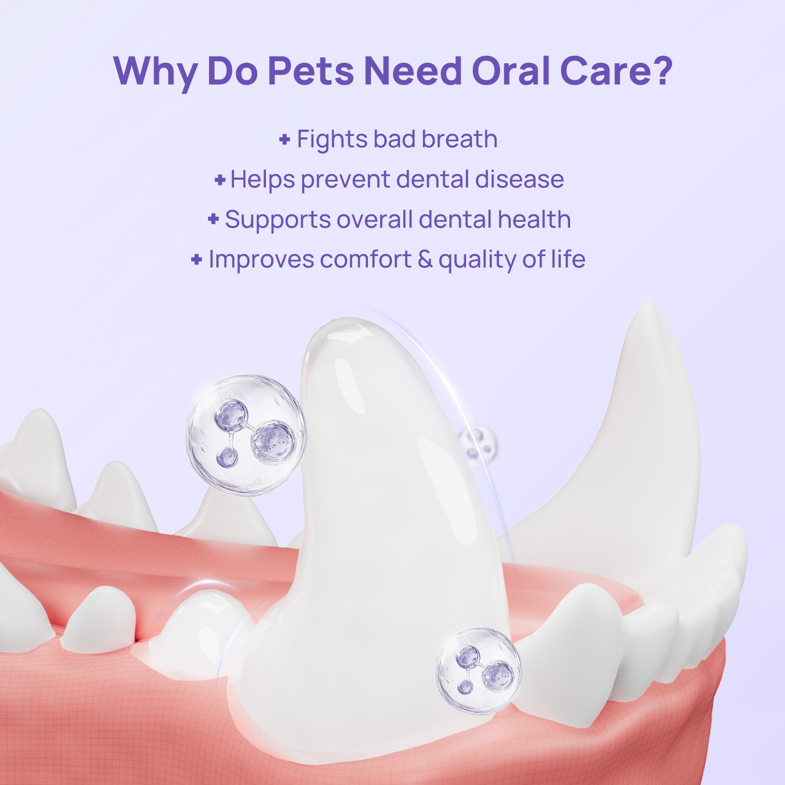 No-Brush Daily Oral Care & Breath Freshening Kit for Dogs & Cats