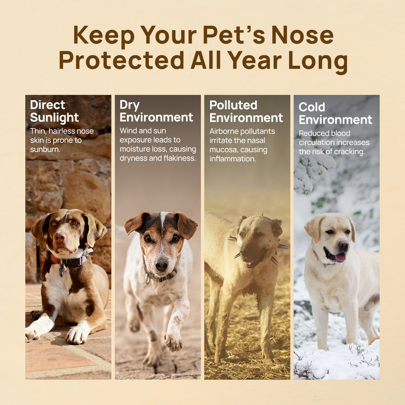 HICC Pet® Nose Balm For Dogs