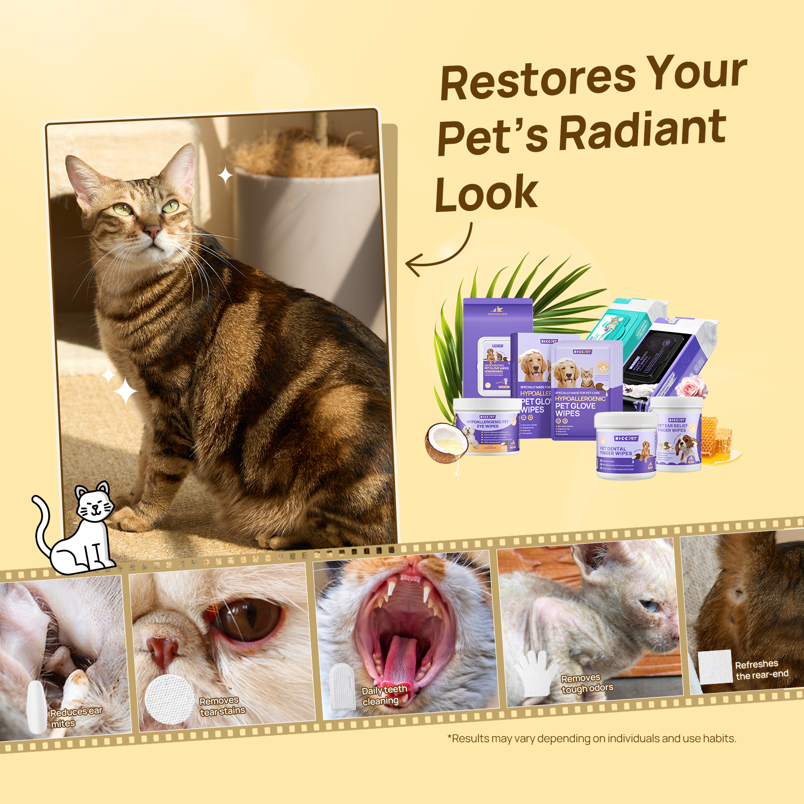 HICC PET® CleanPets Kit