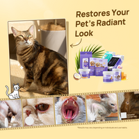 HICC PET® CleanPets Kit