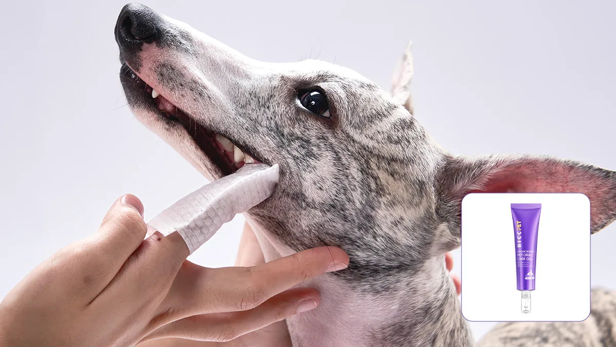 Tartar Control Solution