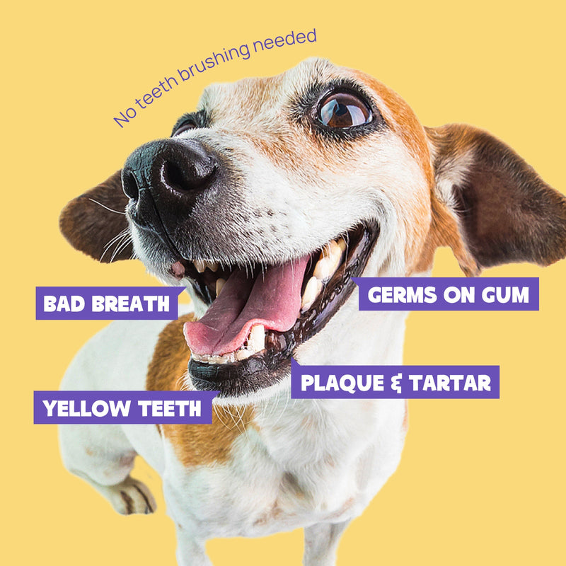 HICC Pet® Pet Dental Finger Wipes For Dogs, Large Size