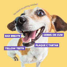 HICC Pet® Pet Dental Finger Wipes For Dogs, Large Size