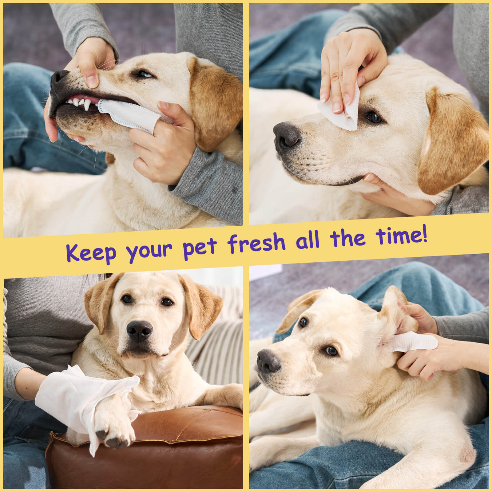 HICC Pet® Favorite Gift Set - Dog Cleaning Starter Kit