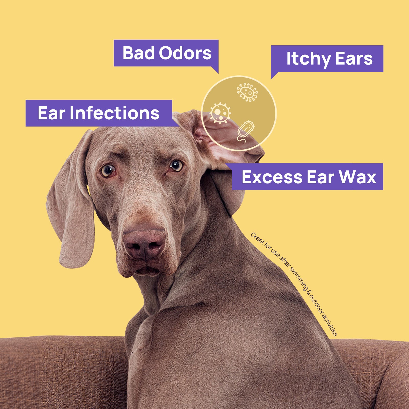 Complete Ear Care Kit for Dogs & Cats - Gentle Cleaning Solution