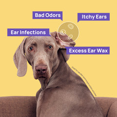 Complete Ear Care Kit for Dogs & Cats - Gentle Cleaning Solution