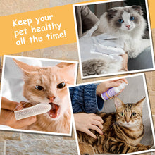 HICC Pet® Wellness Starter Kit For Cats