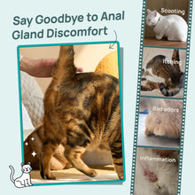 HICC Pet® Pet Anal Gland Wipes For Cats