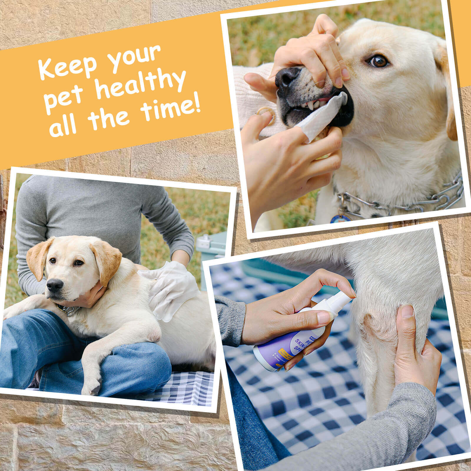 HICC Pet® Star Gift Set - Dog Health Care Starter Kit