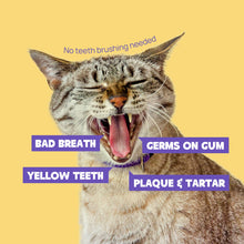 HICC Pet® Pet Dental Finger Wipes For Cats, Large Size