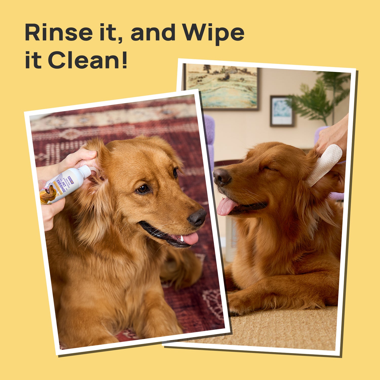 Complete Ear Care Kit for Dogs & Cats - Gentle Cleaning Solution