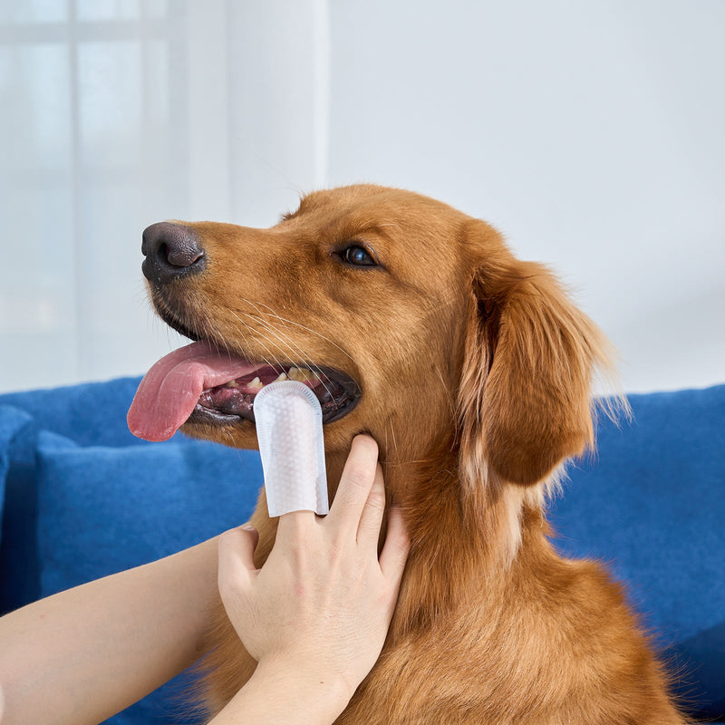 HICC Pet® Pet Dental Finger Wipes For Dogs, Large Size