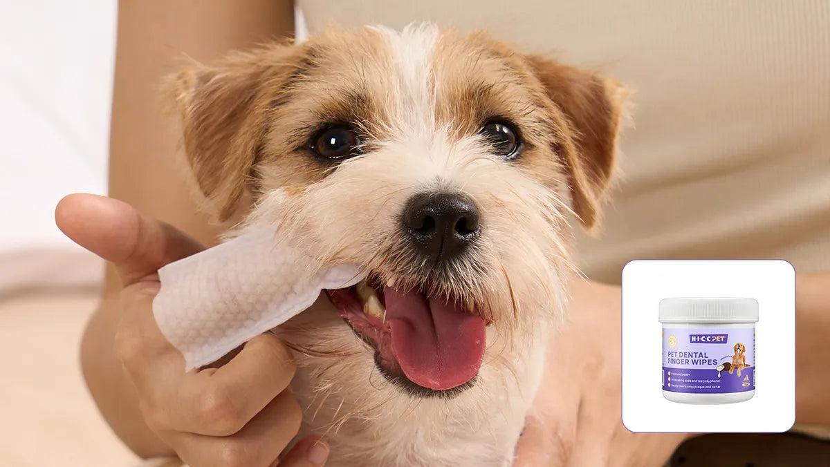 Daily Cleaning Solution