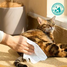 HICC Pet® Pet Anal Gland Wipes For Cats