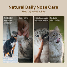 HICC Pet® Nose Balm For Cats