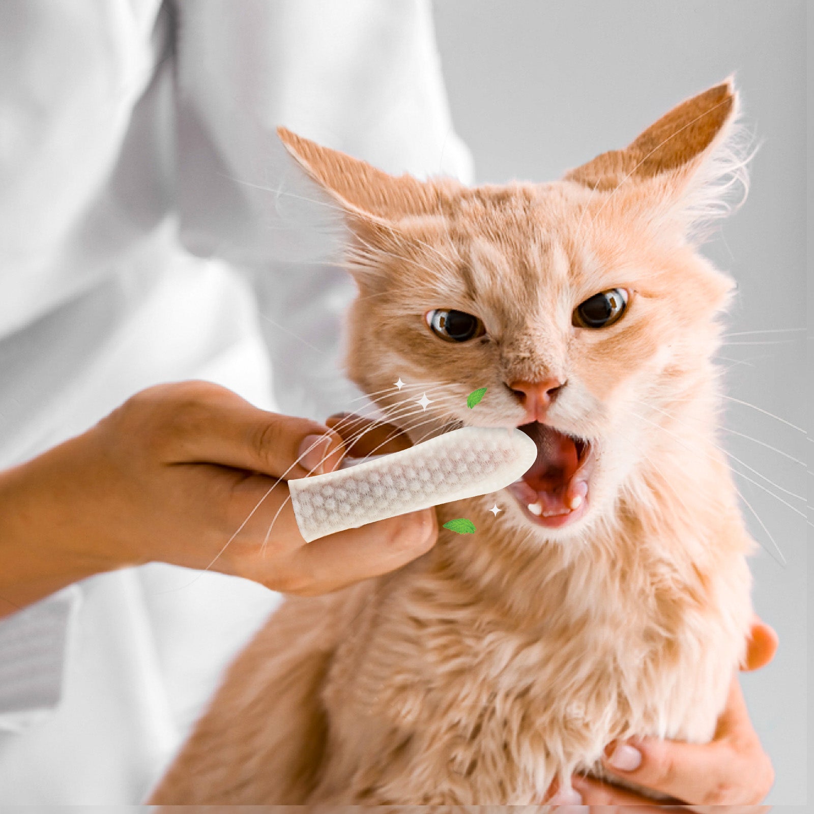 Cat Dental Cleaning Finger Wipes Spearmint Scent 50 Pcs