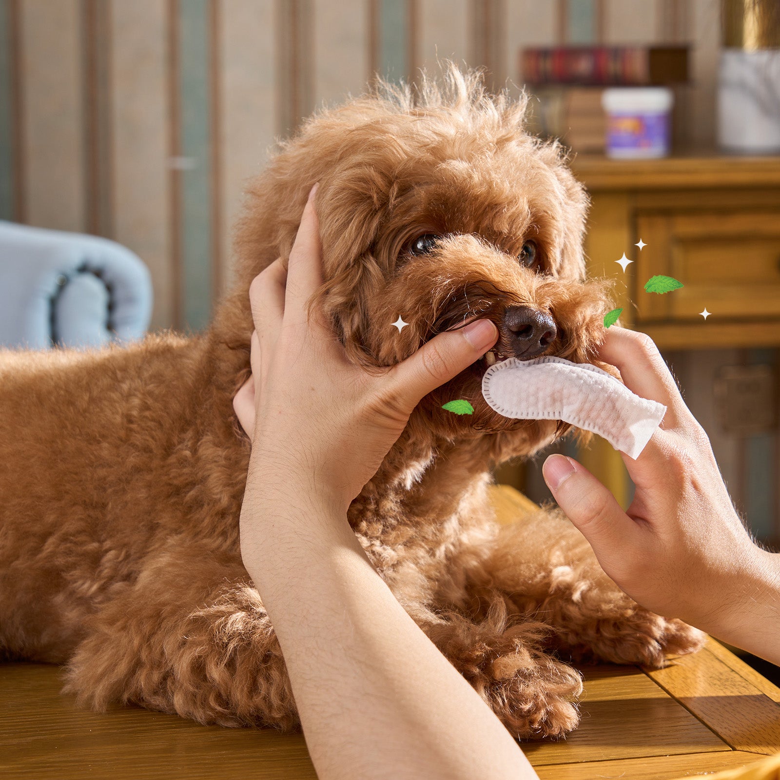 Dog Dental Cleaning Finger Wipes Spearmint Scent 50 Pcs