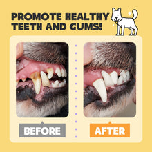 HICC Pet® Pet Dental Finger Wipes For Dogs, Large Size