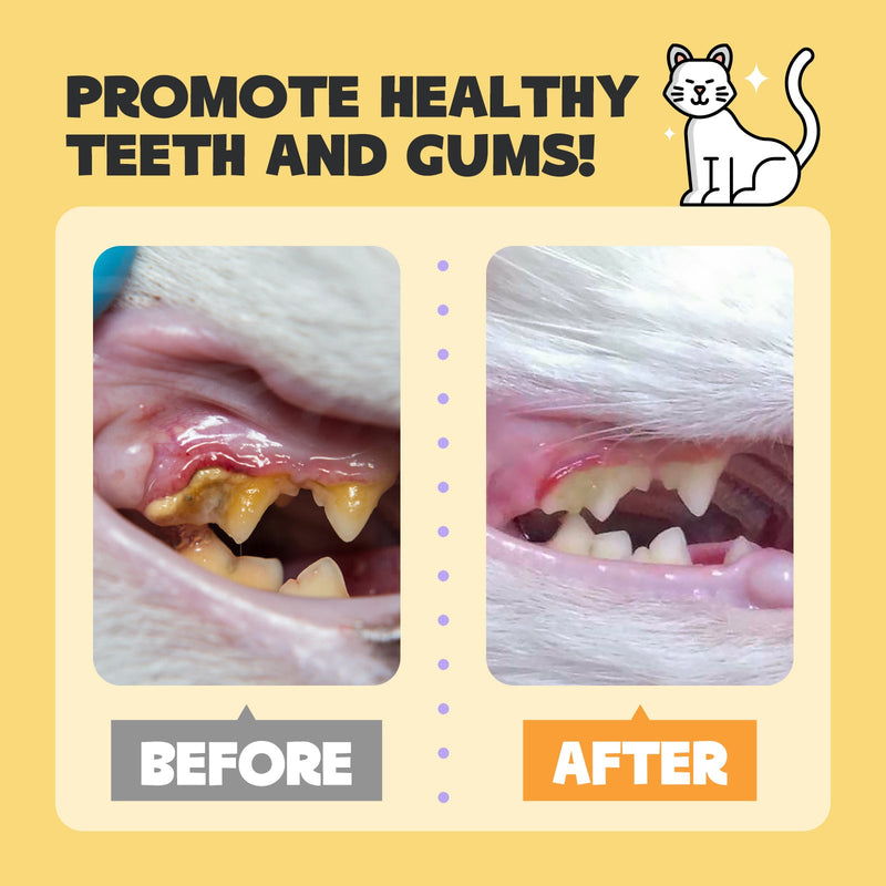 HICC Pet® Pet Dental Finger Wipes For Cats, Large Size