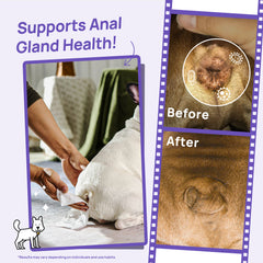 FreshTail Anal Gland Cleansing & Odor Control Kit