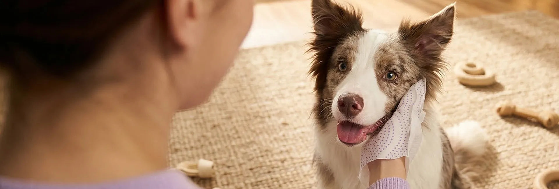 Handy for humans, perfect for pets