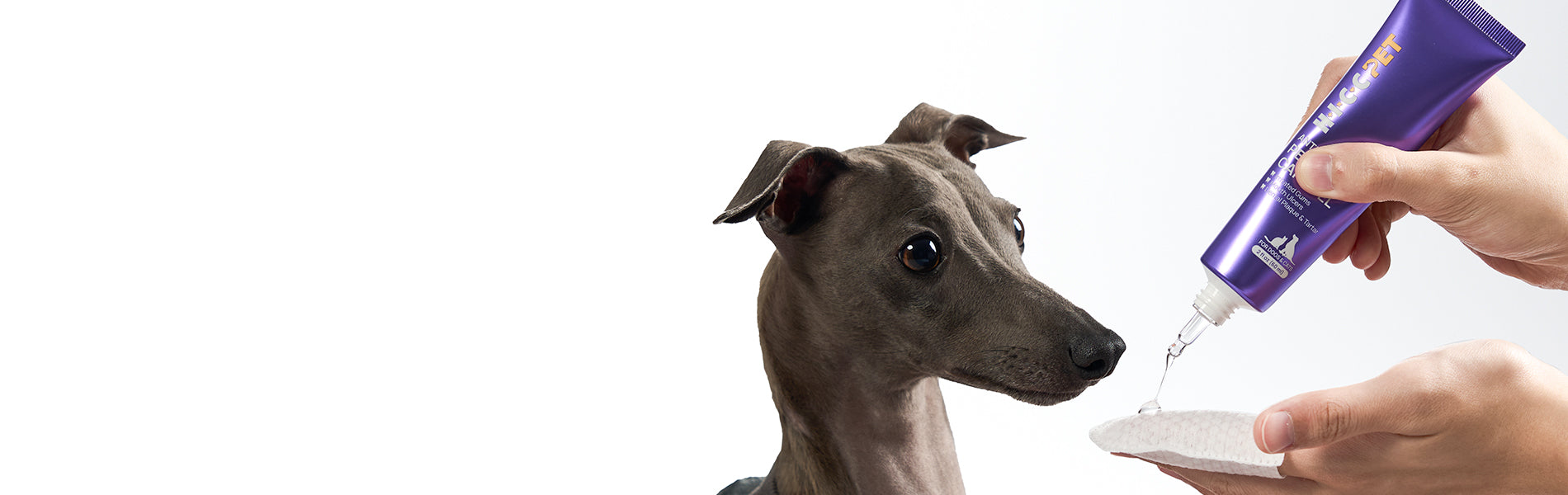 Antimicrobial Pet Oral Care Gel