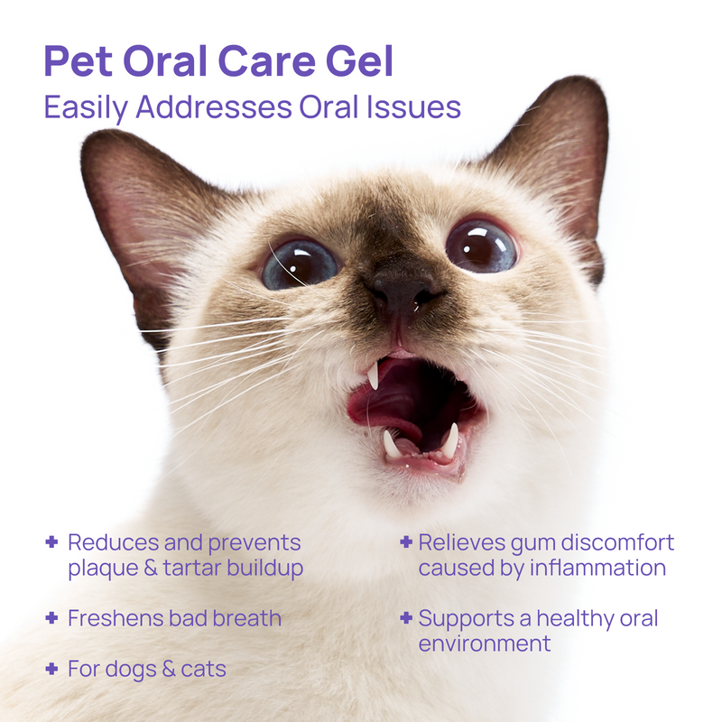 HICC Pet® Antimicrobial Pet  Oral Care Gel for Dogs & Cats