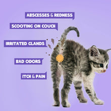 HICC Pet® Antimicrobial Pet Anal Gland Spray For Cats