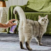 HICC Pet® Antimicrobial Pet Anal Gland Spray For Cats