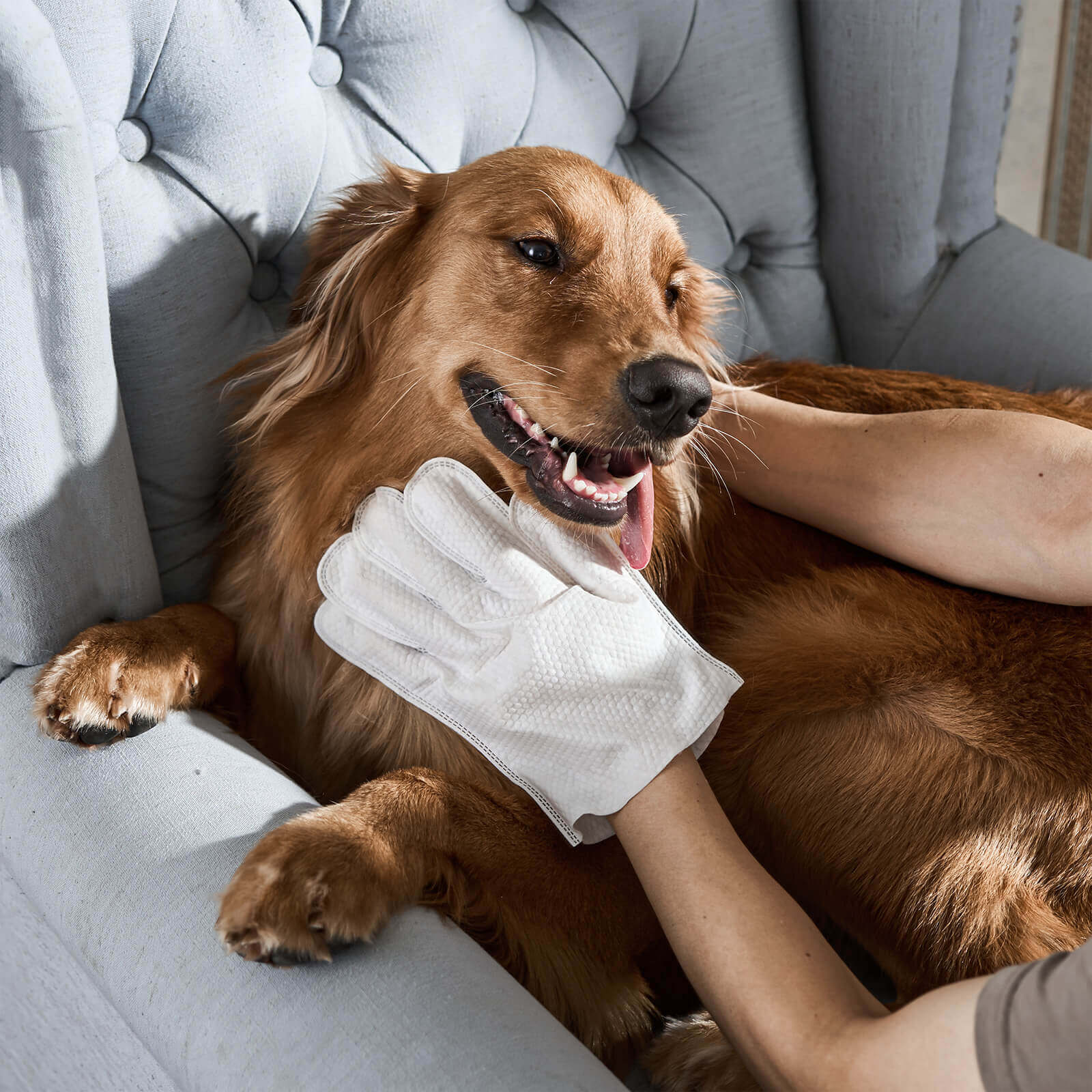 Dog Freshening Grooming Glove Wipes 20 Pcs