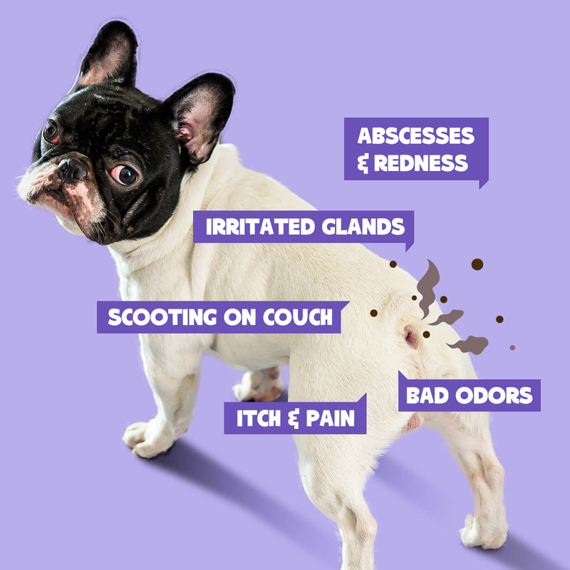 HICC Pet® Antimicrobial Pet Anal Gland Spray For Dogs