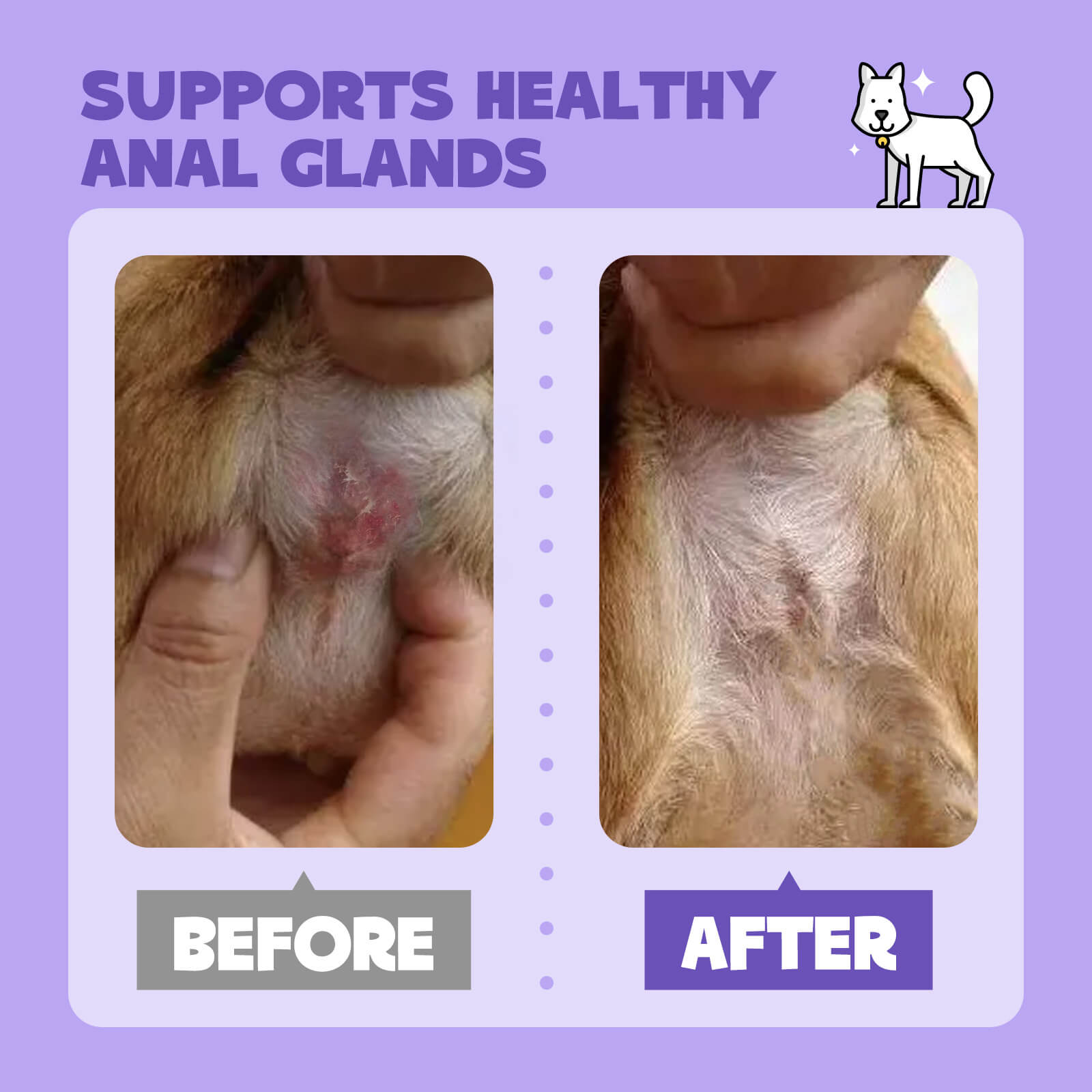 Anal Gland Cleansing Spray for Dogs & Cats
