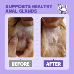 Anal Gland Cleansing Spray for Dogs & Cats