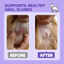 HICC Pet® Antimicrobial Pet Anal Gland Spray For Dogs