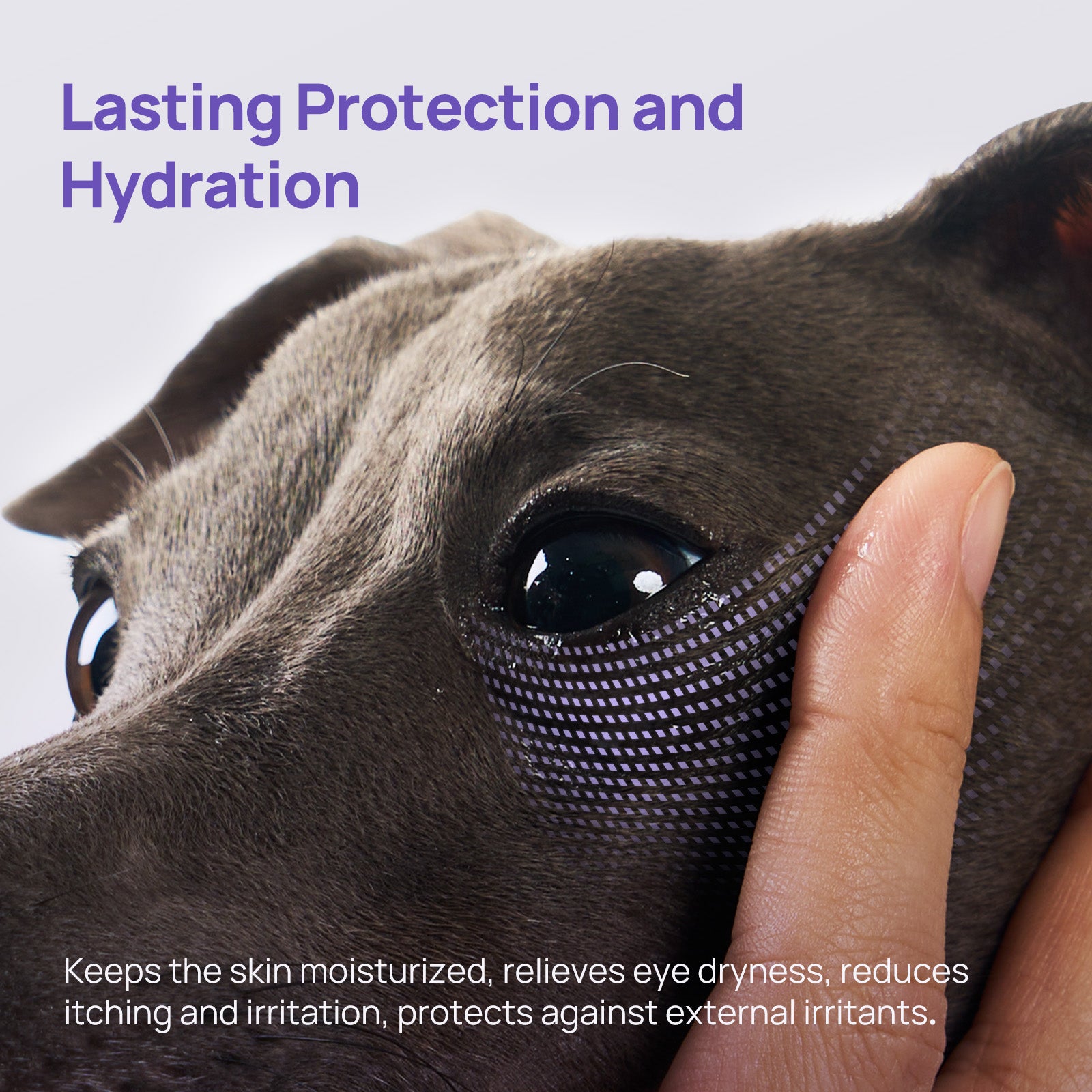 Pet Eye Relief Gel for Dogs & Cats
