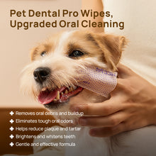 HICC Pet® Pet Dental PRO Series Finger Wipes for Dogs & Cats