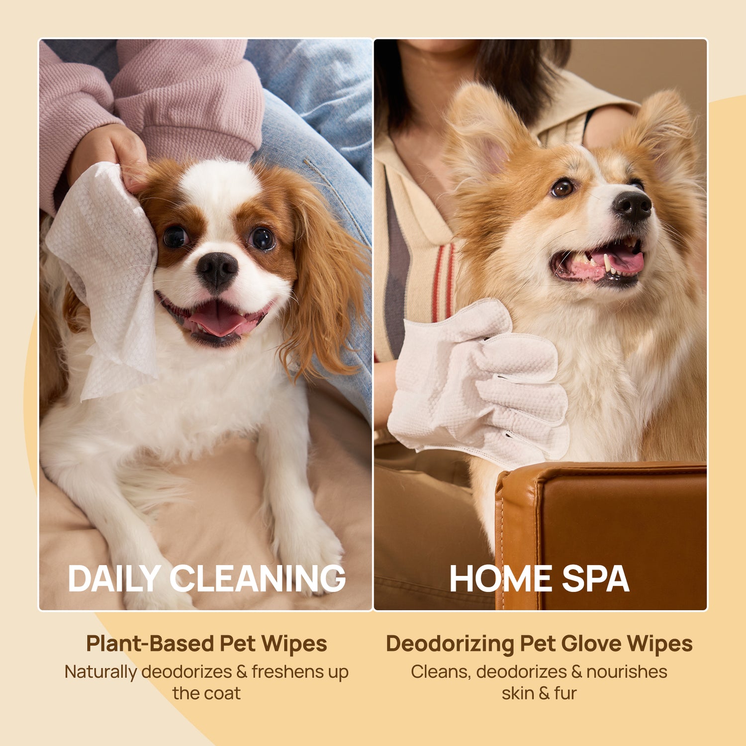 Waterless Bath Kit for Dogs & Cats