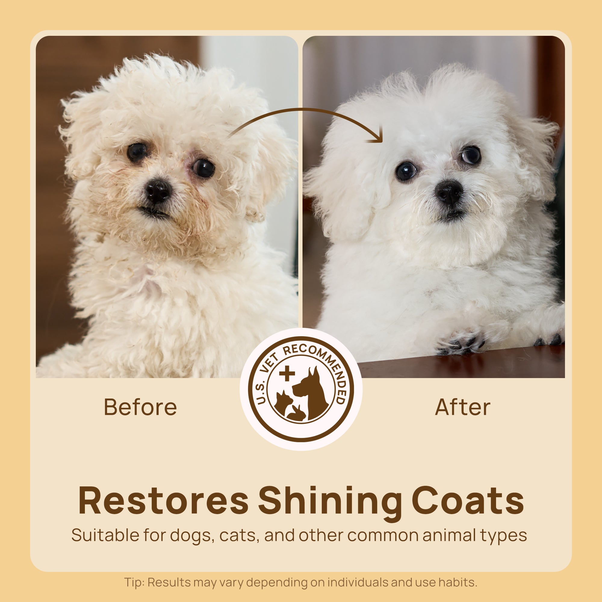 Waterless Bath Kit for Dogs & Cats