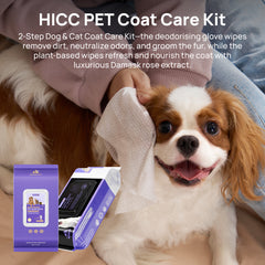 Waterless Bath Kit for Dogs & Cats
